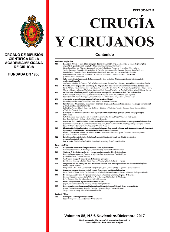 Go to journal home page - Cirugía y Cirujanos